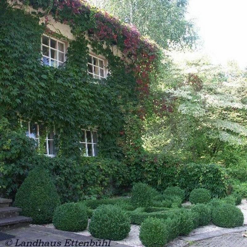 Landhaus Ettenbuehl Bed And Breakfast Bad Bellingen Exteriér fotografie
